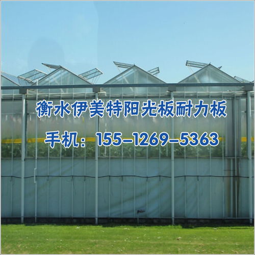 玉树藏族自治州PC板温室大棚阳光板,采光阳光板厂家
